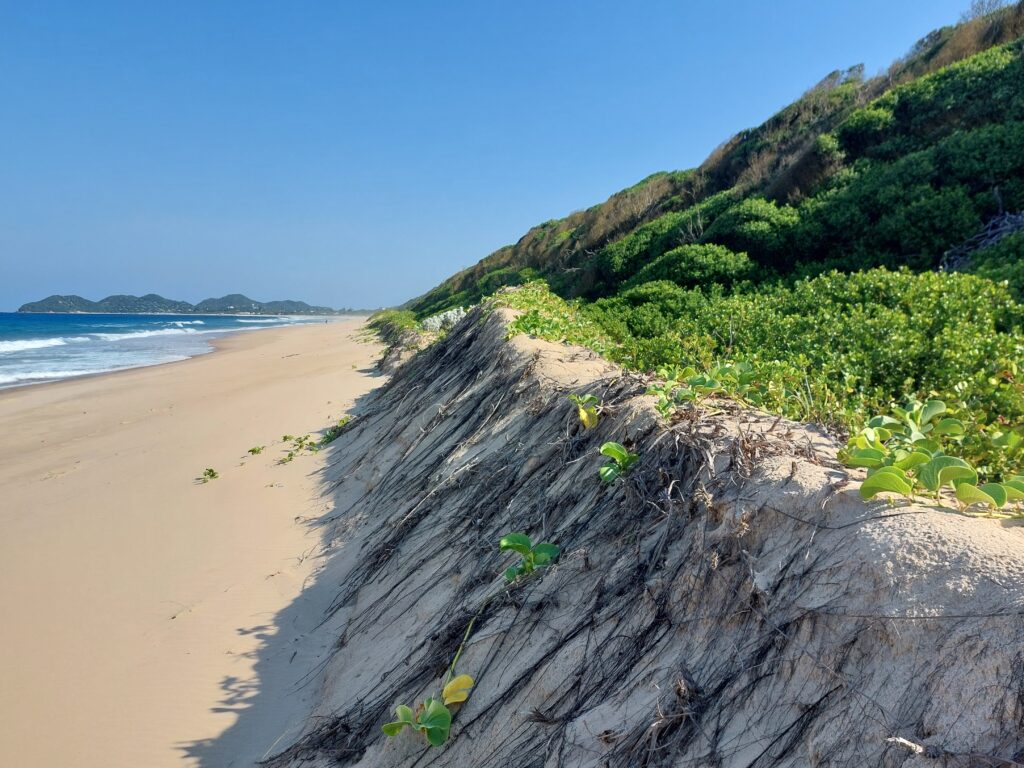 Mozambique, KIN