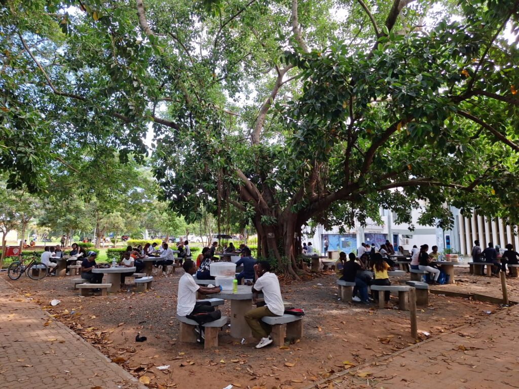 University of Maputo, Mozambique, KIN