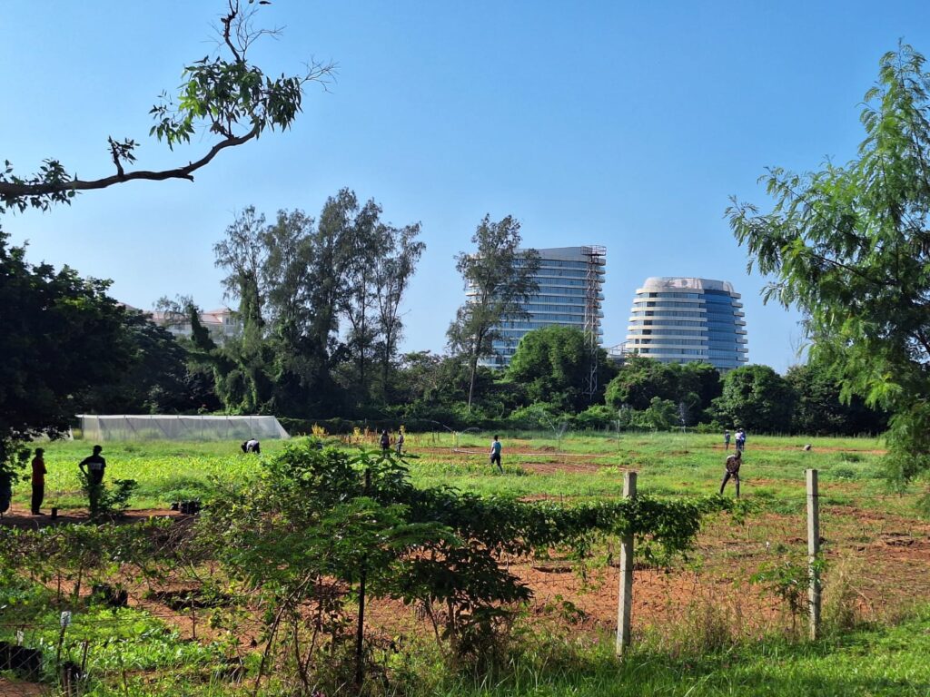 Mozambique, KIN