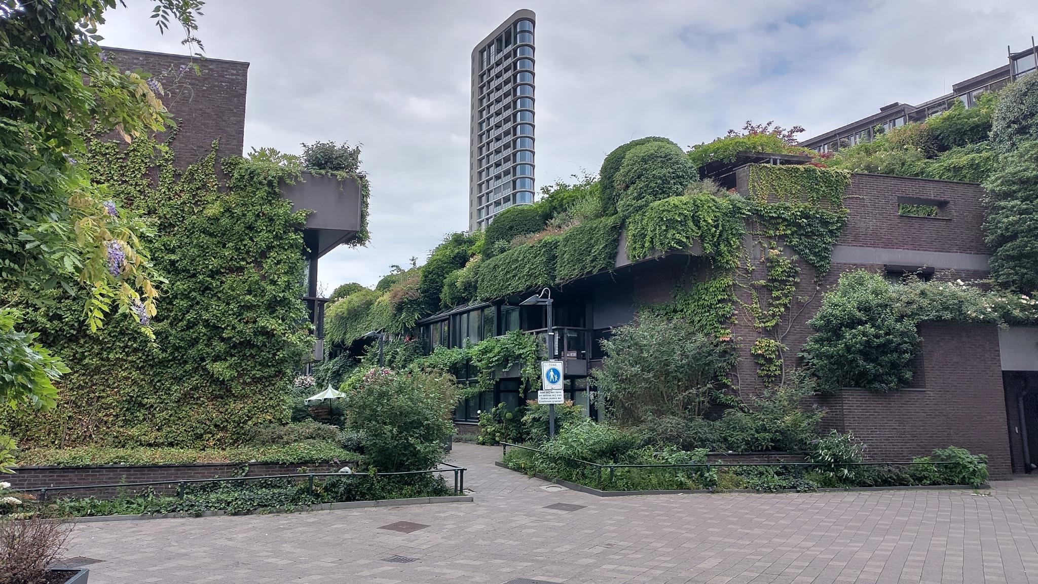 Stcihting CAS - Duurzame Wijk eindhoven